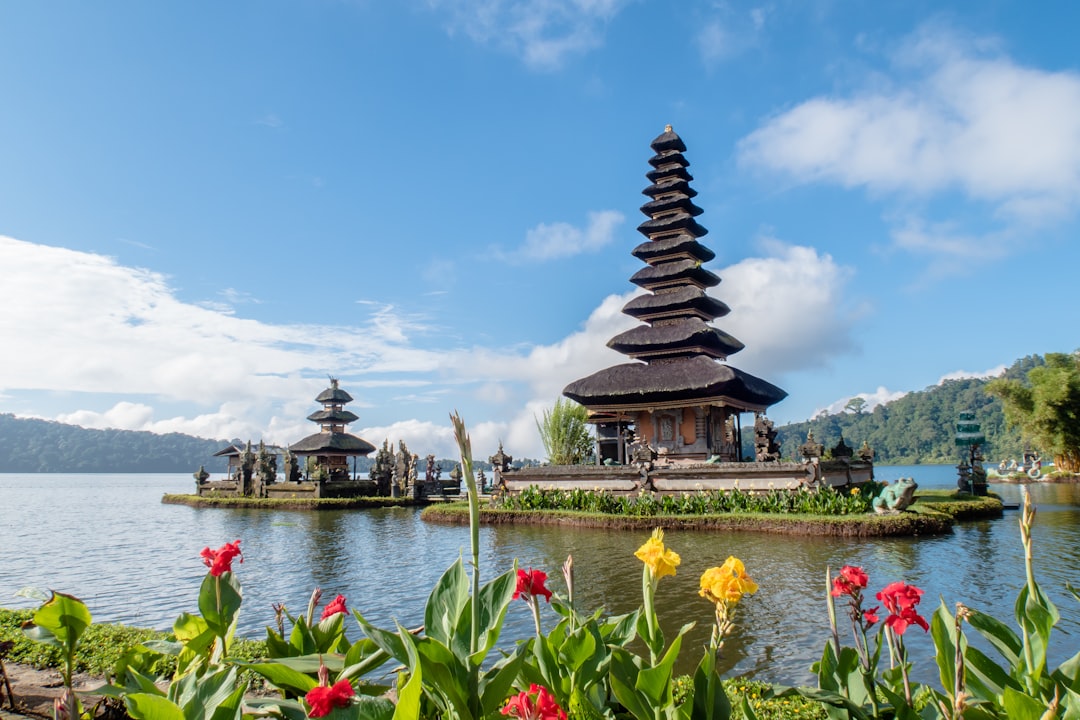 How to Choose the Right Tour Operator
